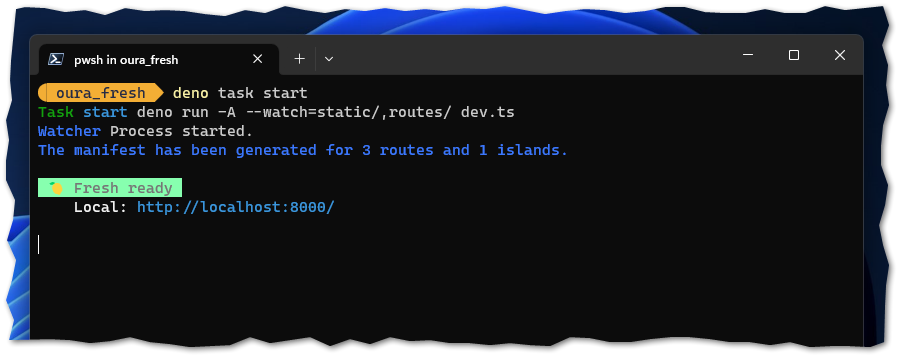 An image showing the output when you issue the start command